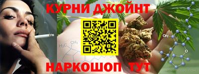 крисы Новодвинск