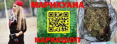 крисы Новодвинск