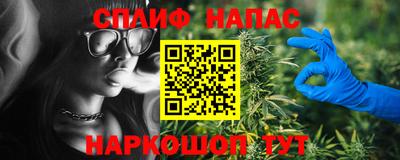 крисы Новодвинск