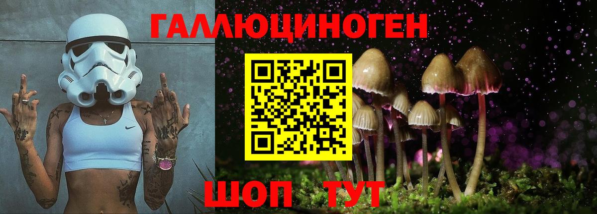 Псилоцибиновые грибы Cubensis  Вход с VPN  Шадринск  Псилоцибиновые грибы Psilocybine cubensis 